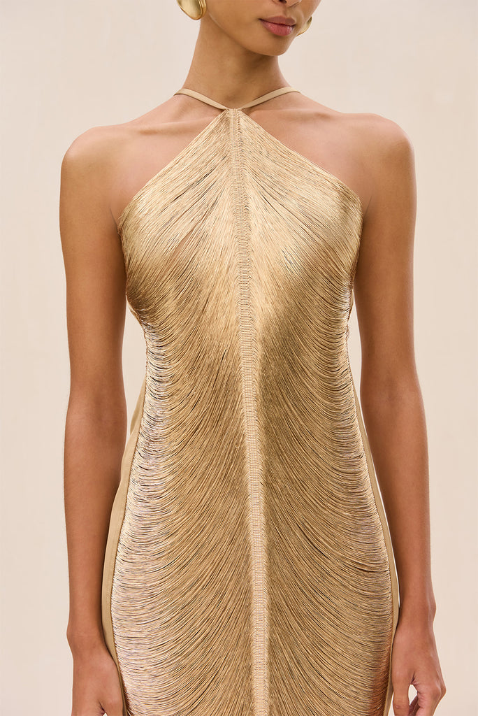 slim fit dress slacks Petal and Pup Women's Scarlette Dress - Gold main image 0