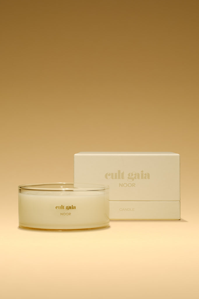 Canda キャンダ 8.5 oz CANDLE REFILL – CULT GAIA