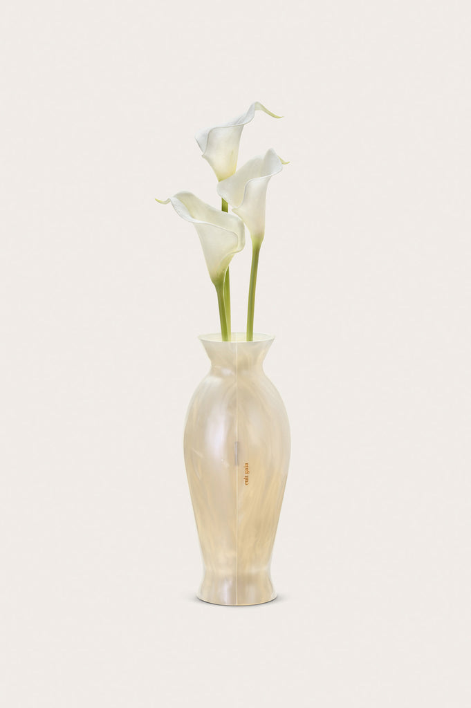 FLORENCE CLUTCH - IVORY – CULT GAIA