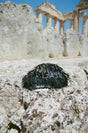 JAALA MINI CLUTCH - BLACK