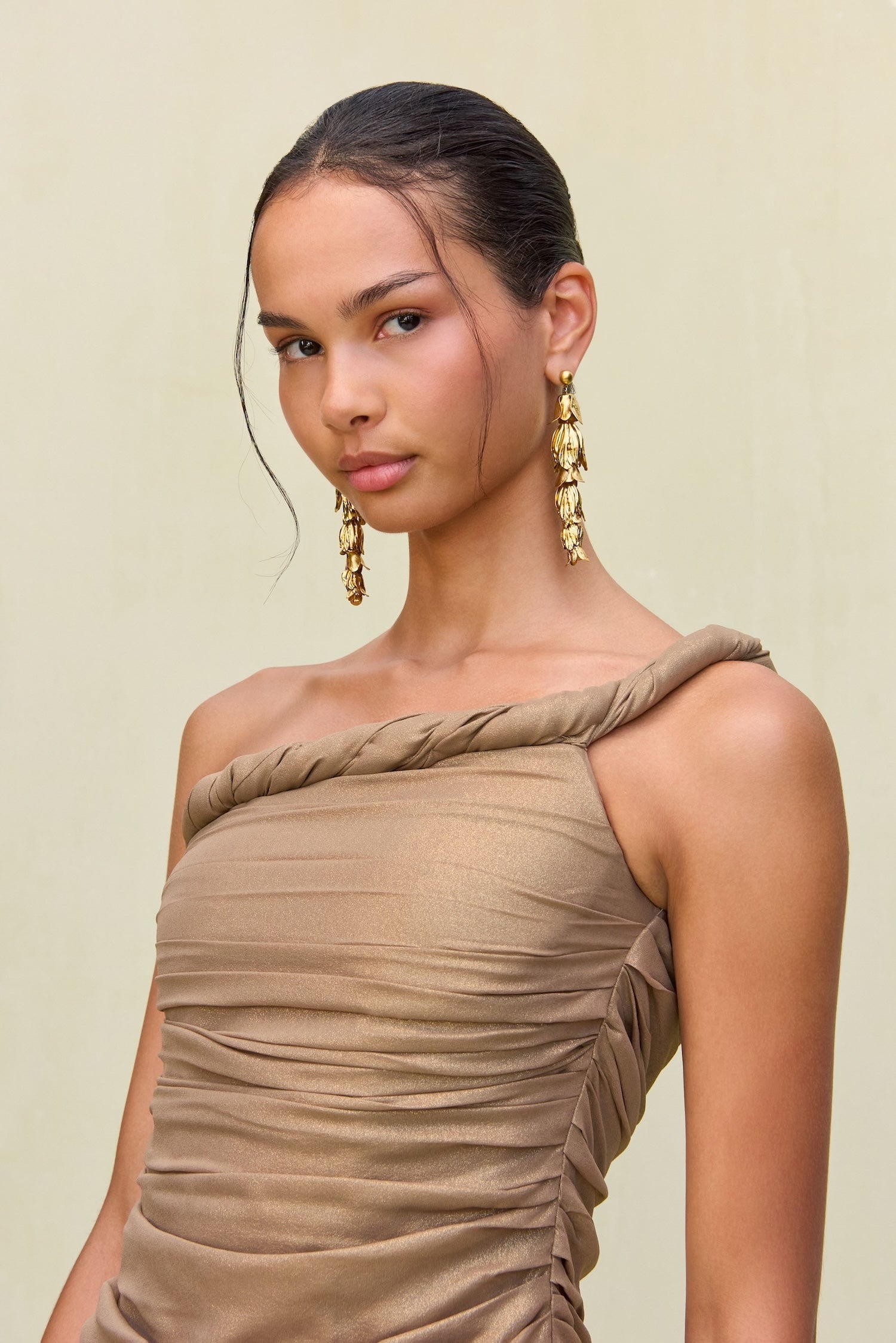 JESS DRESS - TIERRA