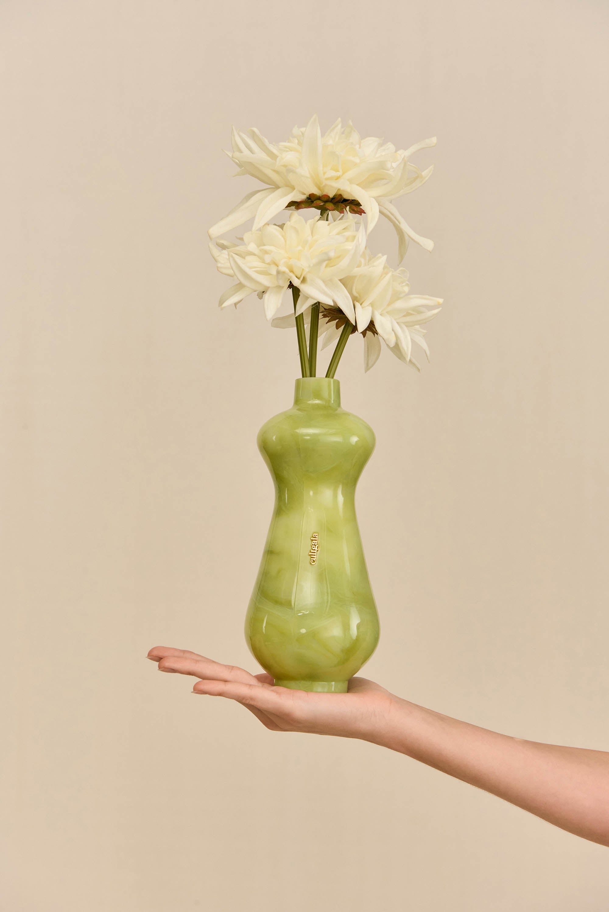 DEE DEE CLUTCH - DOMINGA