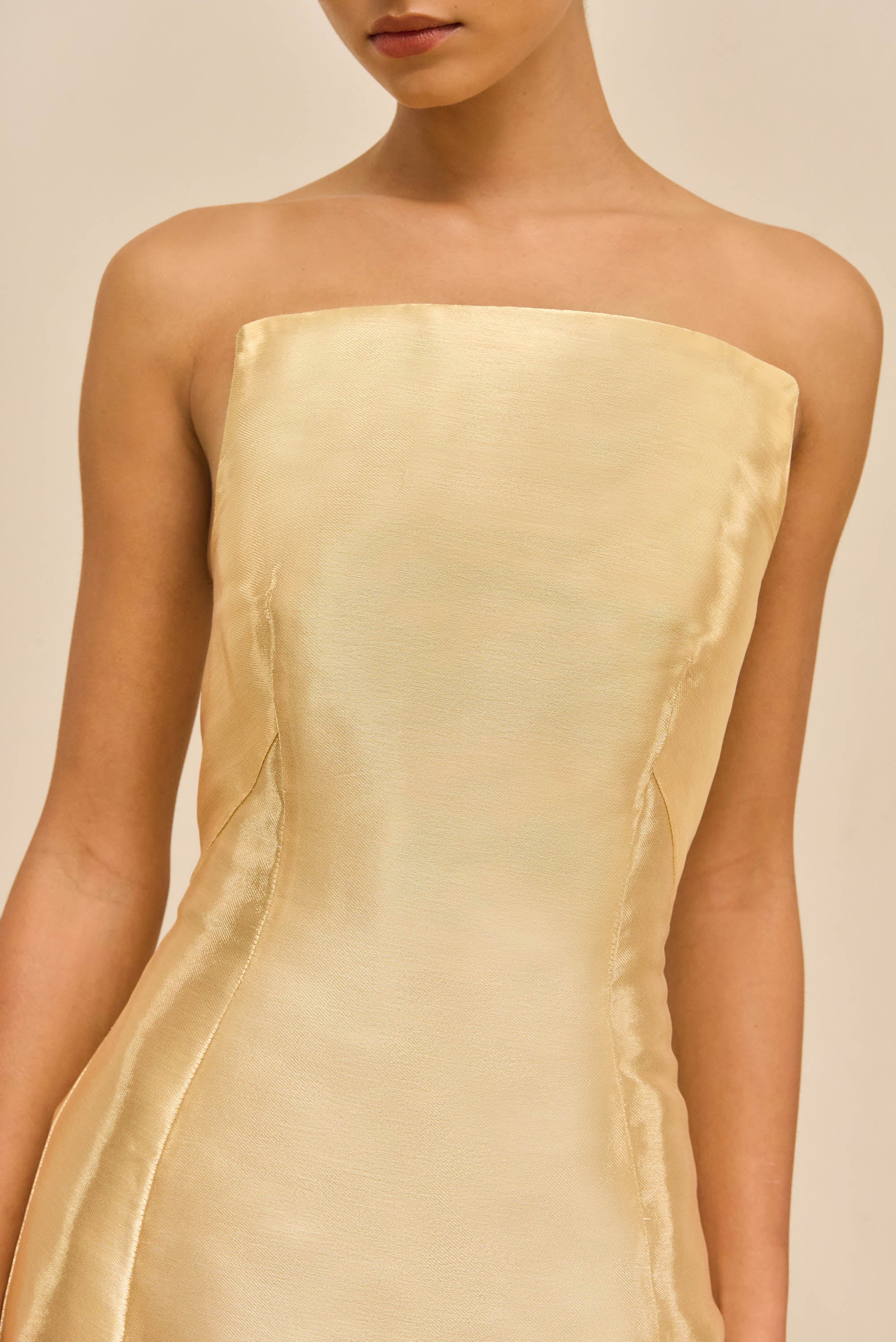 gaia metallic gold strapless dress Clothing : Bodycon Dresses : 'Gaia' Metallic Gold Strapless Dress