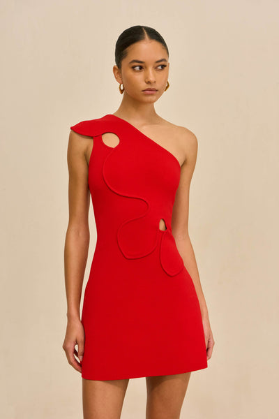LABELLA KNIT DRESS - VERMILION – CULT GAIA