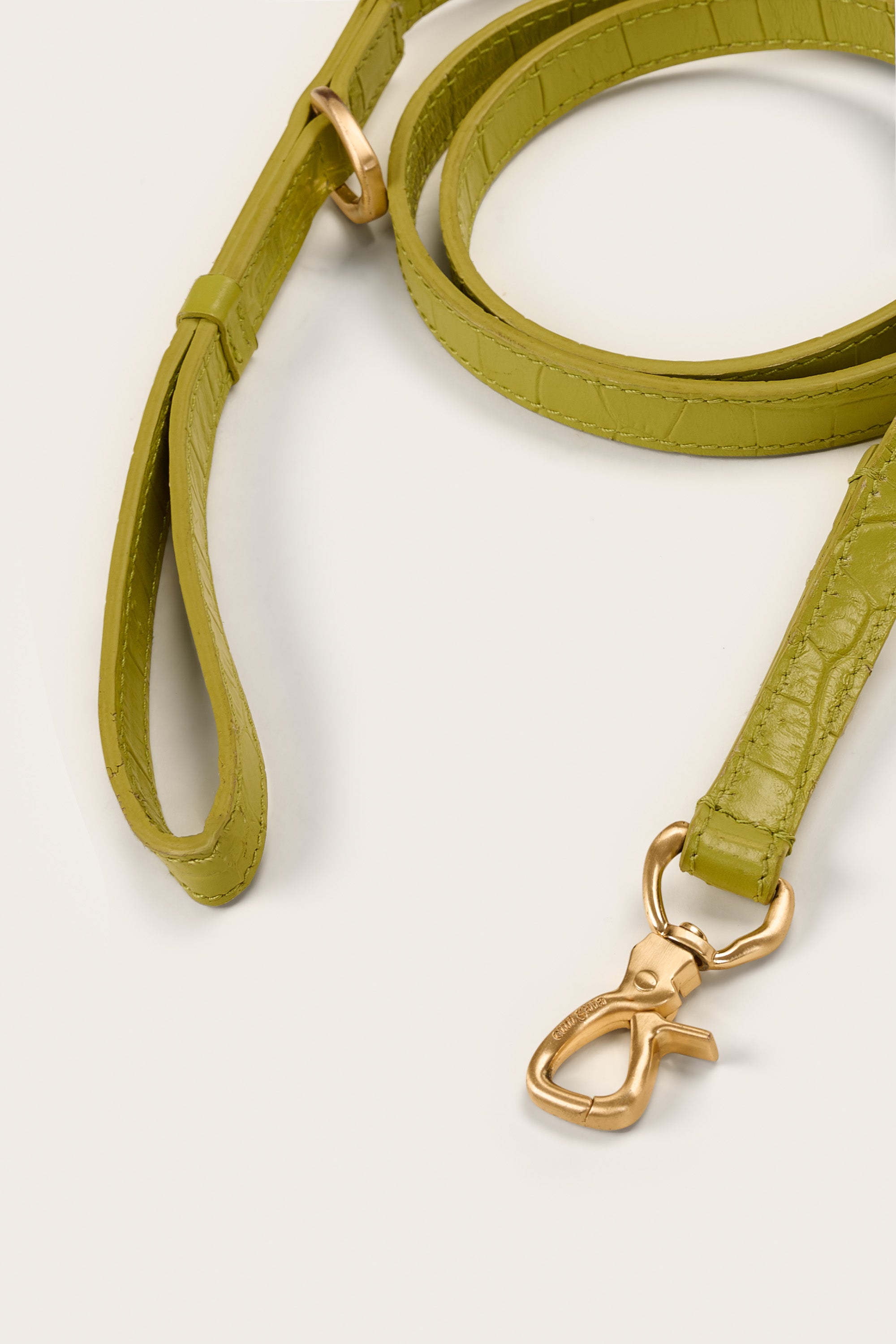 ARDEN DOG LEASH - LAUREL