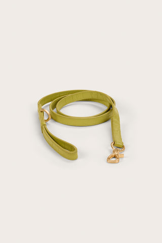 ARDEN DOG LEASH - LAUREL