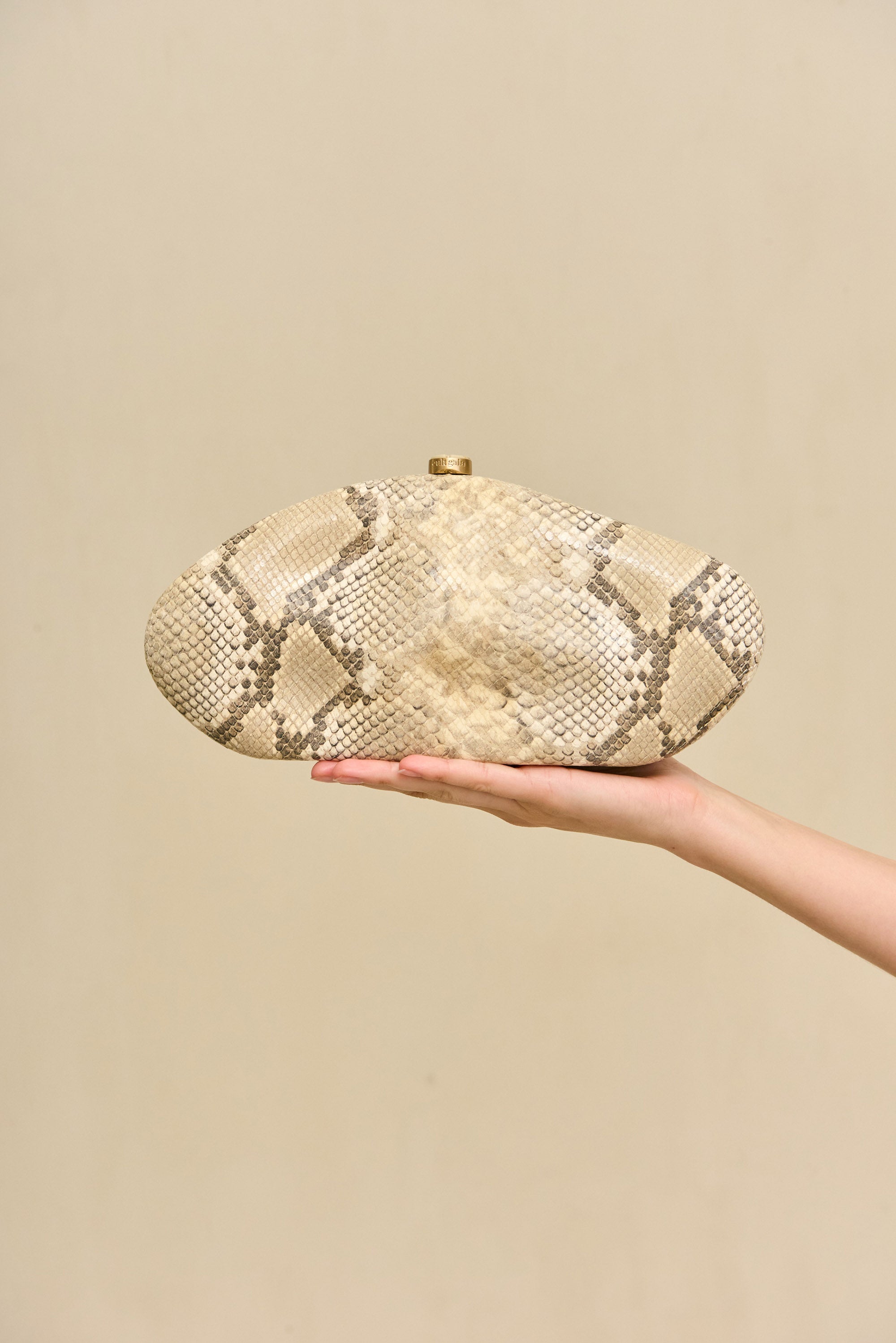 THE CALDERA CLUTCH - FADED PYTHON