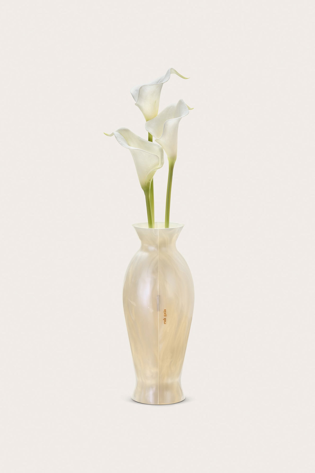 FLORENCE CLUTCH - IVORY