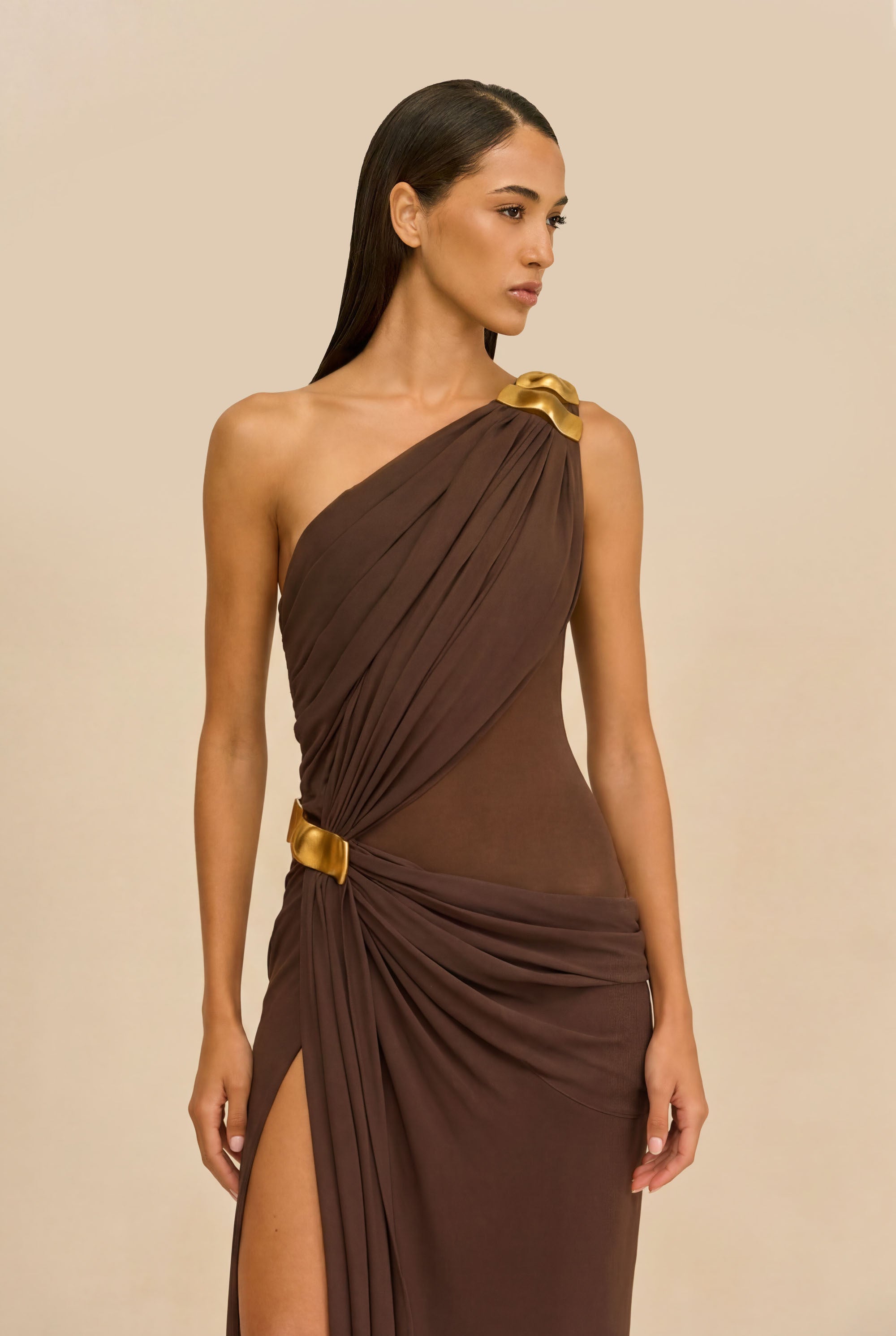 Cult Gaia Genista Dress in Brown