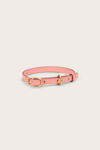 OZZY DOG COLLAR - LYCHEE