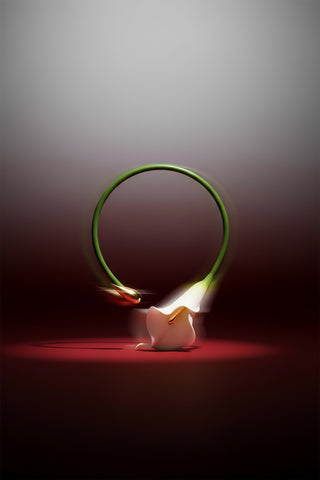 CALLA VINE CHOKER - WHITE