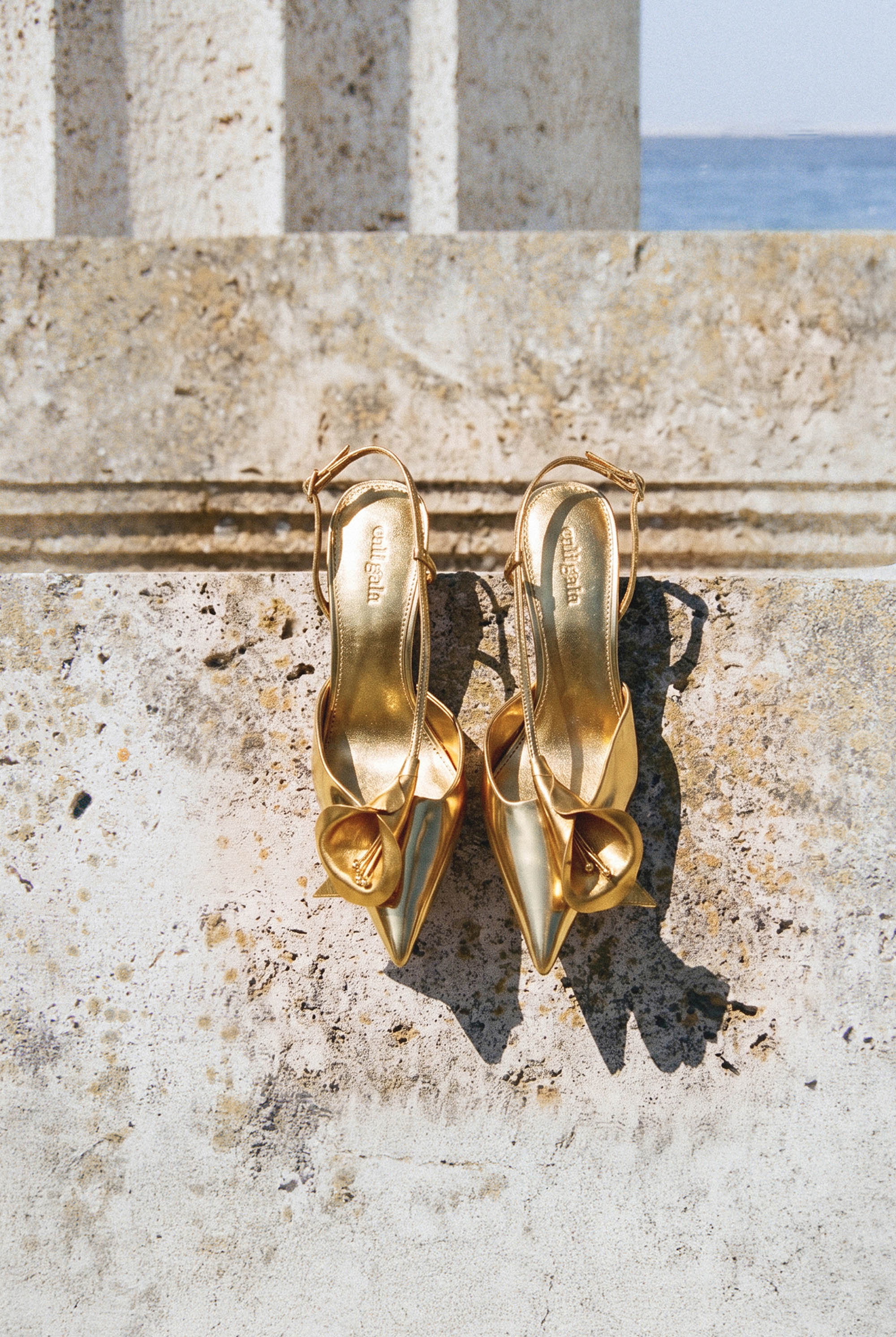 CALLA PUMP - BRASS